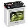 Xtreme High Performance 12N12A-4A-1 12V 113CCA Flooded Powersport Battery - 0