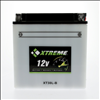 Xtreme High Performance 30L-B 12V 300CCA Flooded Powersport Battery - 1