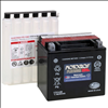 Yuasa 14-BS 12V 200CCA Store-Activated Flooded Powersport Battery - 0