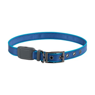 Nite Ize NiteDog Blue Rechargeable LED Collar Size XL NDCRXL-03-R3