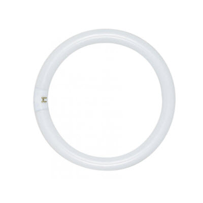 Satco 32W T9 12 Inch Cool White 4 Pin Fluorescent Circline Light Bulb - FLO10158