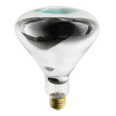 250W R40 Heat Lamp Bulb