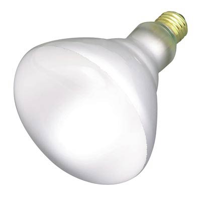 BR40 65W Reflector Light Bulb - Main Image