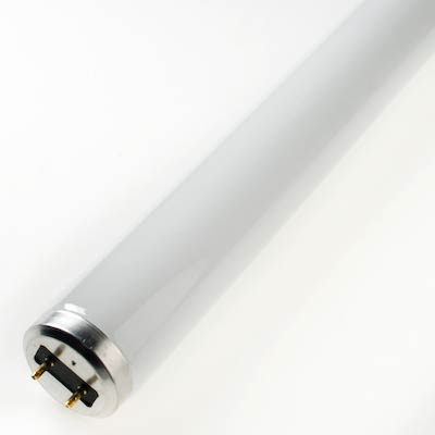 Sylvania 15W 18 Inch 2 Pin Cool White Fluorescent Tube Light Bulb - FLO10091