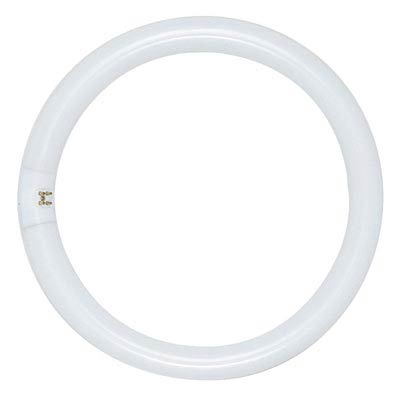 32W T9 12 inch Soft White Circline Fluorescent Light Bulb - Main Image
