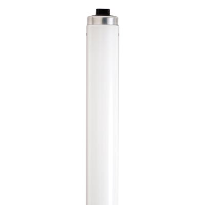 60W T12 48 inch Cool White Fluorescent Lamp - Main Image