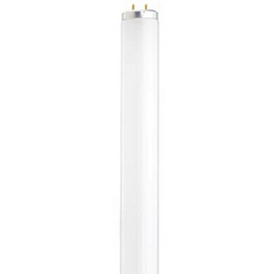 Satco 32W T8 48 Inch Daylight 2 Pin Fluorescent Tube Light Bulb - FLO10738