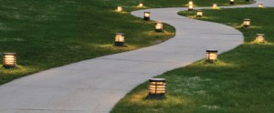 Solar lights lighting up a path